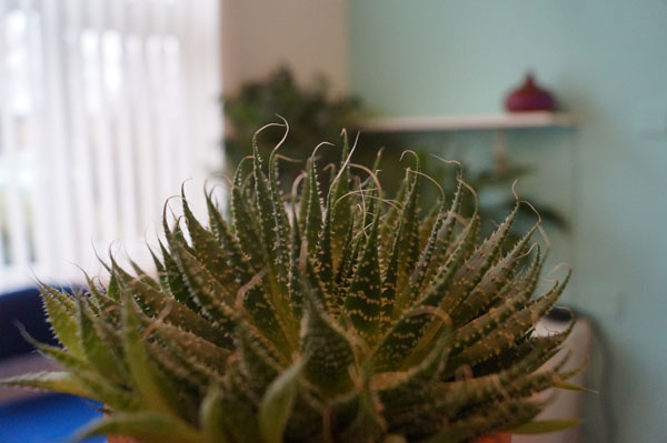 Chiropractic, Chiropractor in Littlehampton, Massage in Littlehampton, Rustington, Bognor, West Sussex, Health Centre