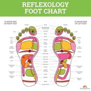 chart, foot pain, massage, reflexology in Littlehampton west sussex, aundel, goring, worthing, bognor, elmer