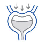 Stress Incontinance, EmSella Littlehampton, Pelvic Floor, Dysfunction, Sexual, Pain, Dryness, Prostate, Pee, Urine, Leak, Laugh, Bladder, ED, Erectile Dysfunction, Magnets, Kegel, Kegels, Health, Tone, Muscle, Symptom, Strength, Electromagnetic, HIFEM, Weak, weakened, stimulation, contraction, treatment, non-surgical, high-intensity, focused, pelvic, tightness, men, women, exercise, vagina, vaginal, sensation, orgasm, post, partum, pregnancy, tear, active, female, male, reduced, laxity, patient, boost, aging, childbirth, surgery, pads, kegal, catheterisation, FDA, BTL, intimate, menopause, Sussex, West Sussex, Chichester, Portsmouth, Southampton, hove, Brighton, Hampshire, Hants, Surrey, Arundel, Midhurst, petersfield, Littlehampton, bognor, worthing, Oving, Wittering, Emsworth, Hayling, Horsham, Waterlooville, Havant, Fareham, Westbourne, Lavant, Boxgrove, Petworth